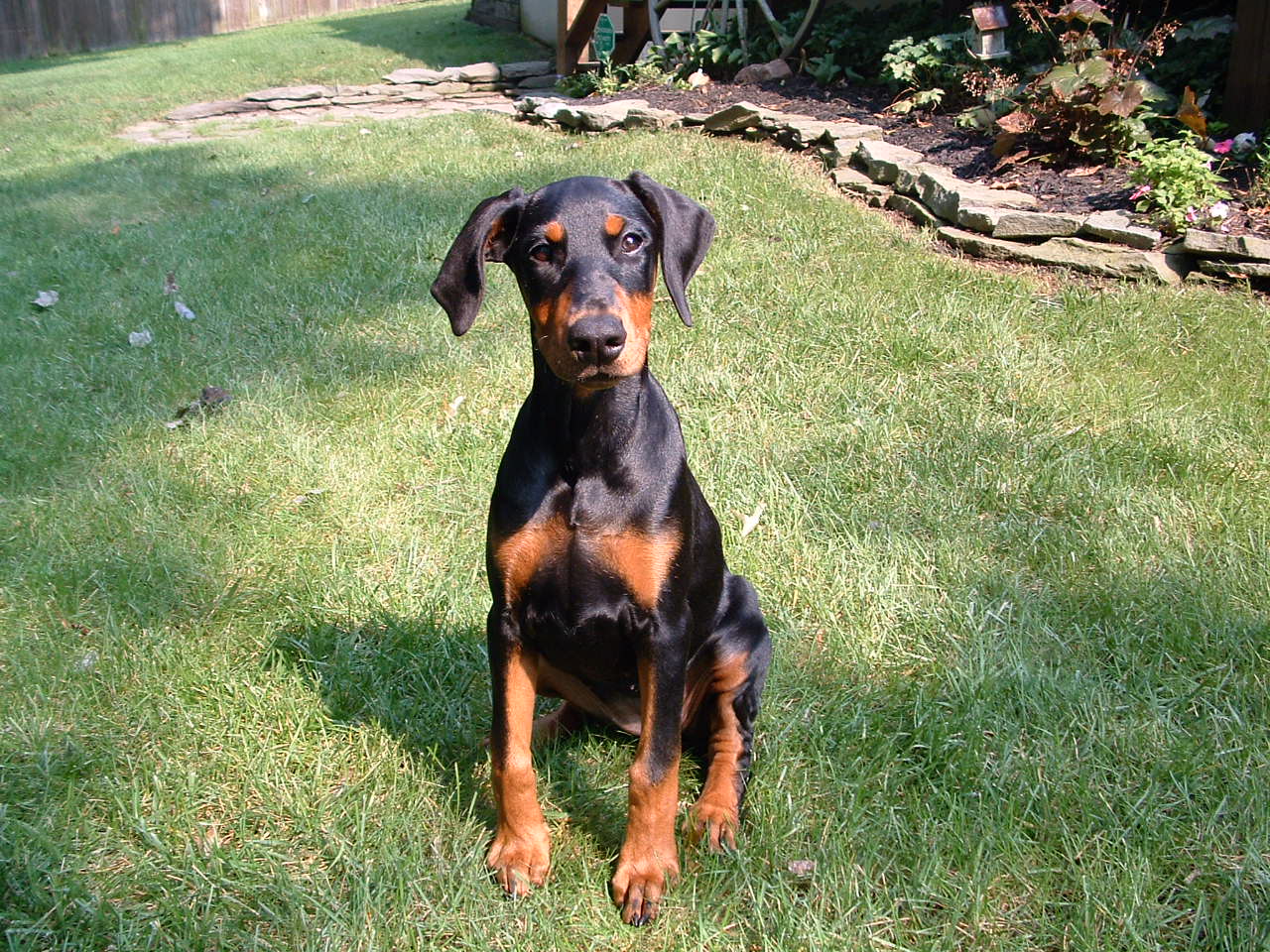 2002-01-12 23-39-551047.jpg