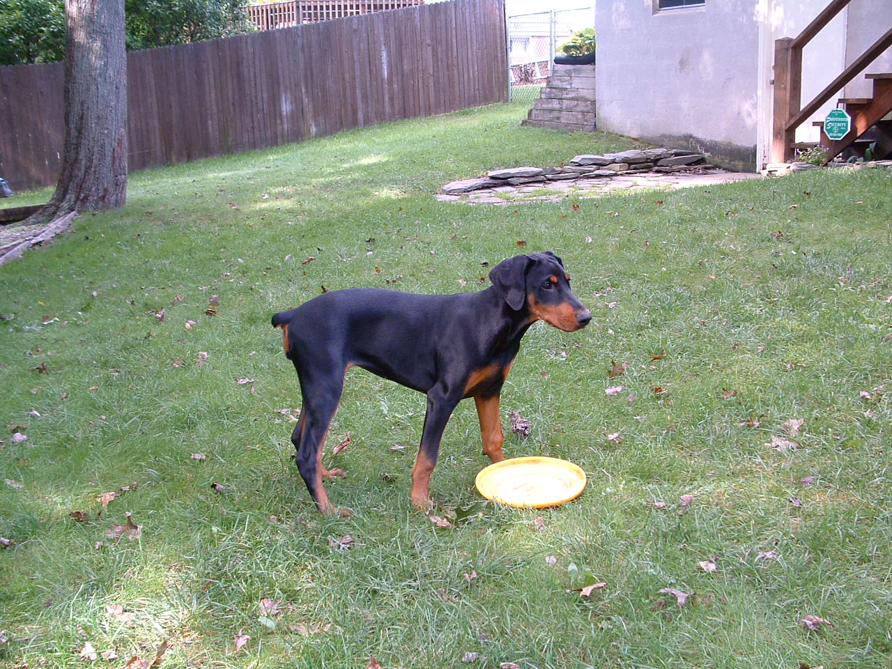 2002-01-21 04-07-061045.jpg