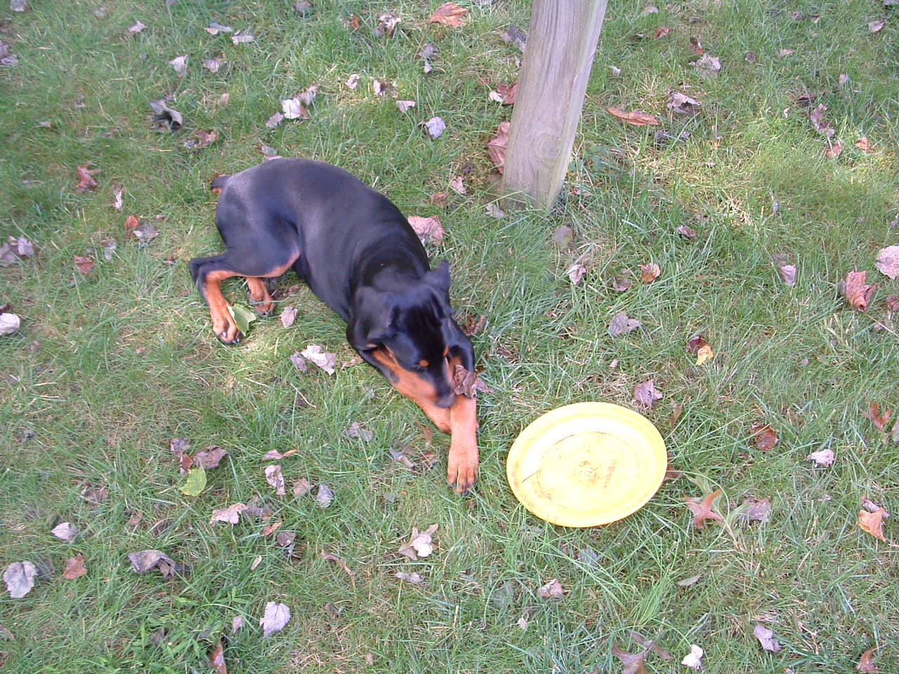 2002-01-21 04-12-331042.jpg