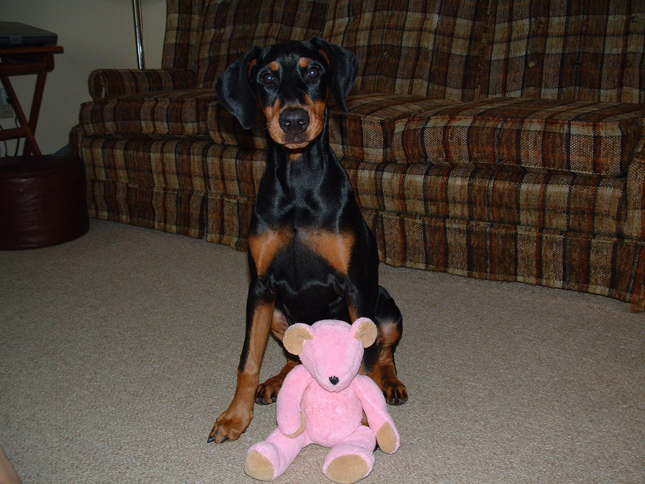 2002-02-04 02-19-021040.jpg