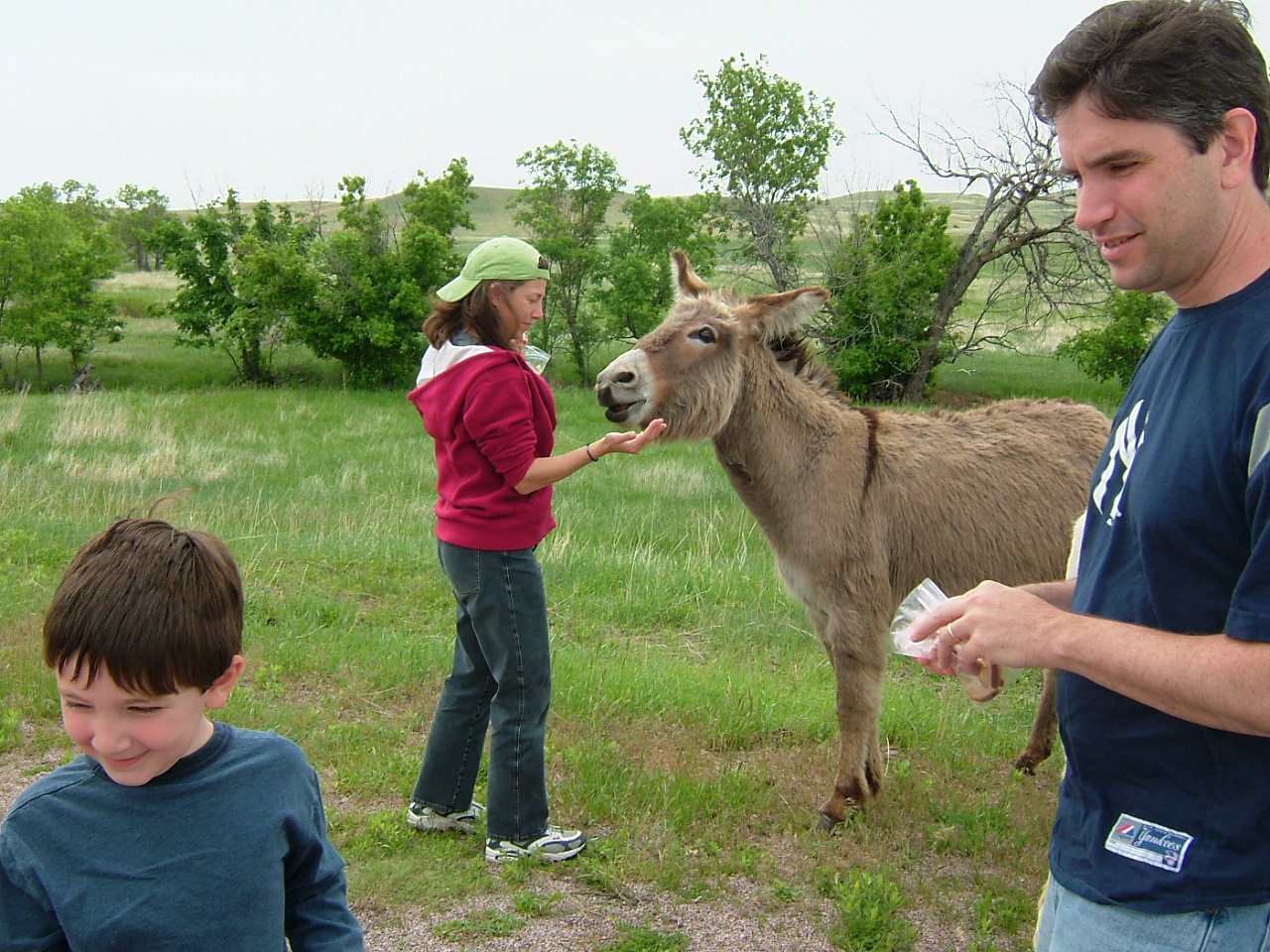 2003-02-25 20-46-211020.JPG