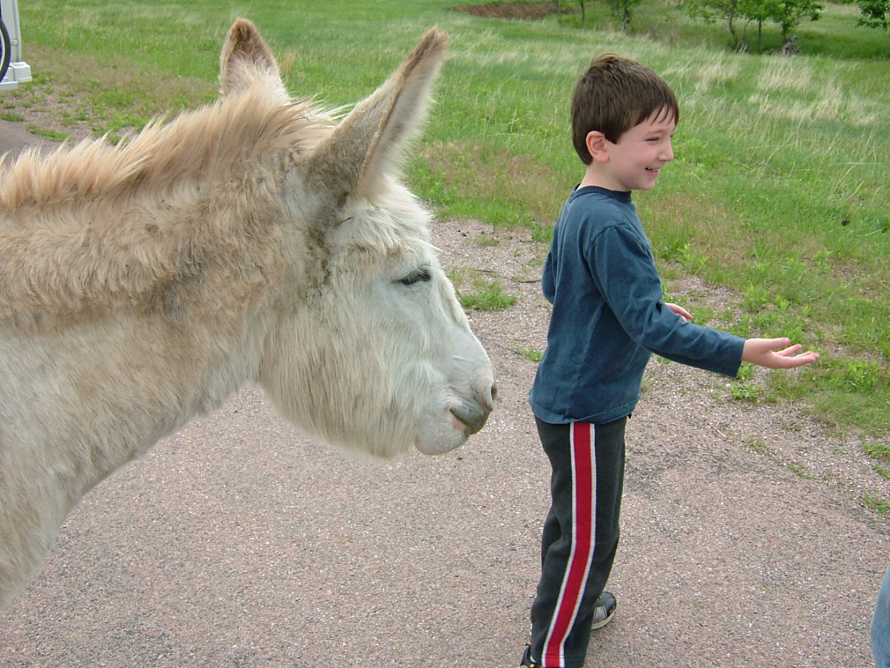 2003-02-25 20-46-261019.JPG