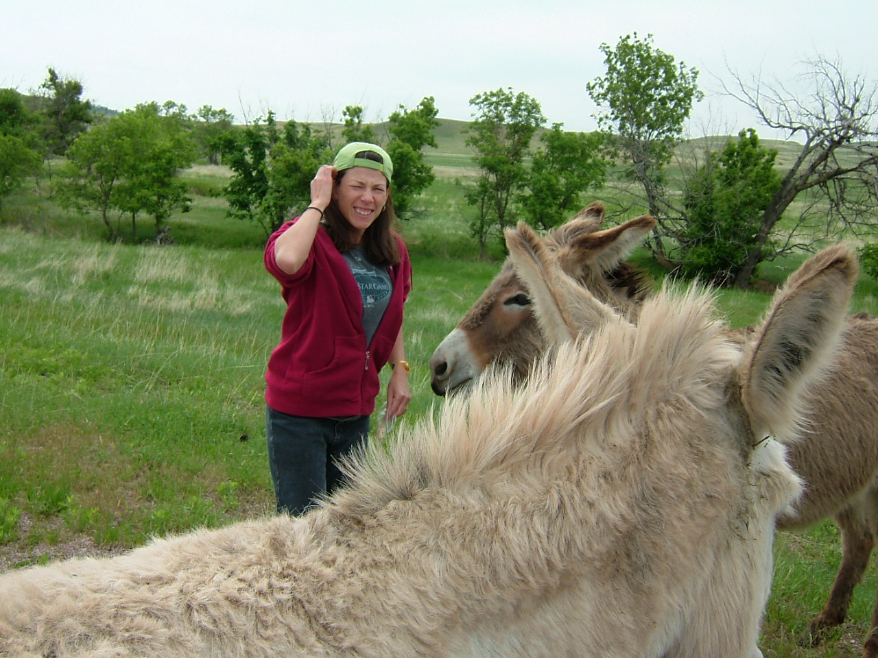 2003-02-25 20-46-361017.JPG