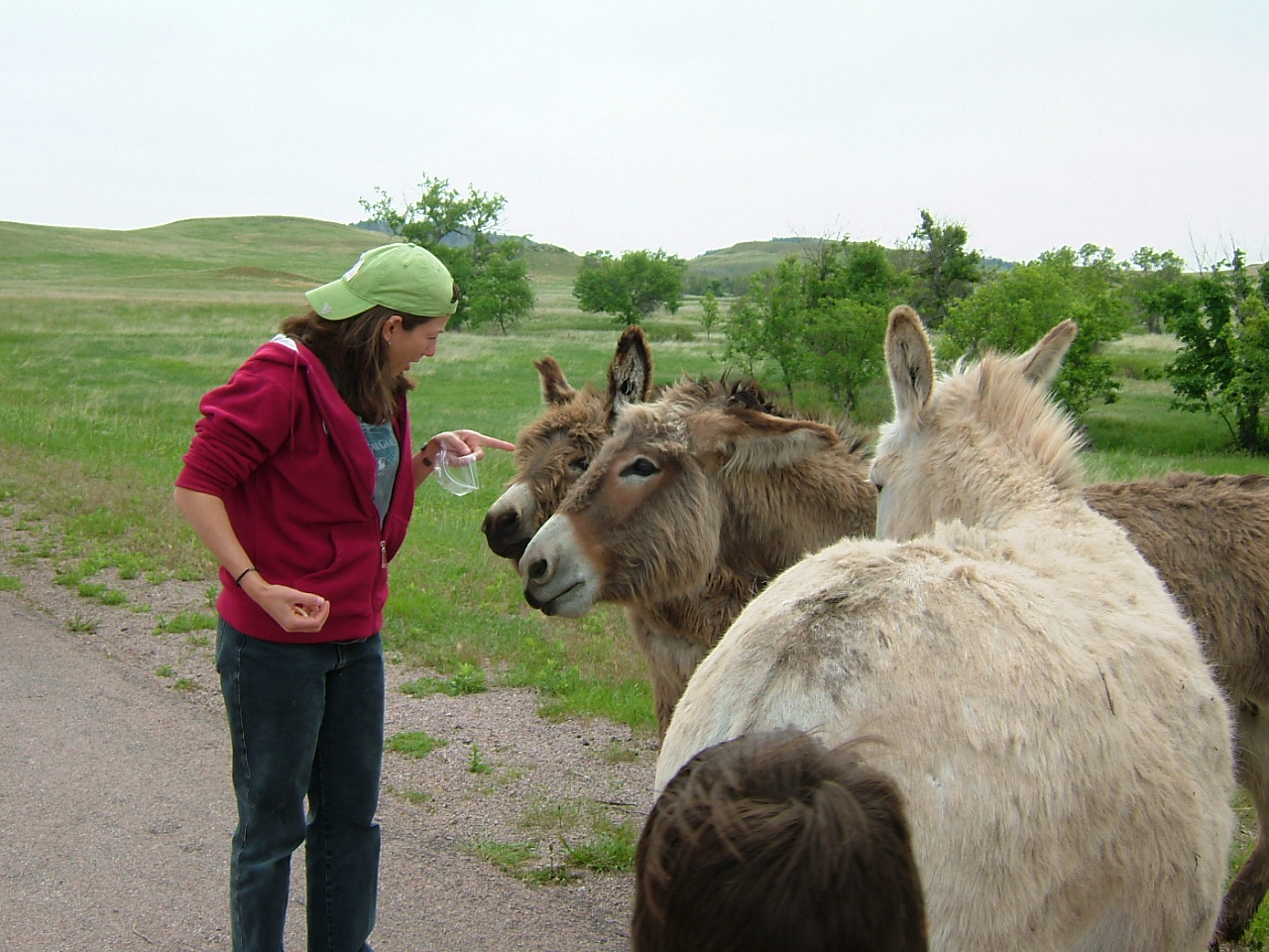 2003-02-25 20-46-581016.JPG