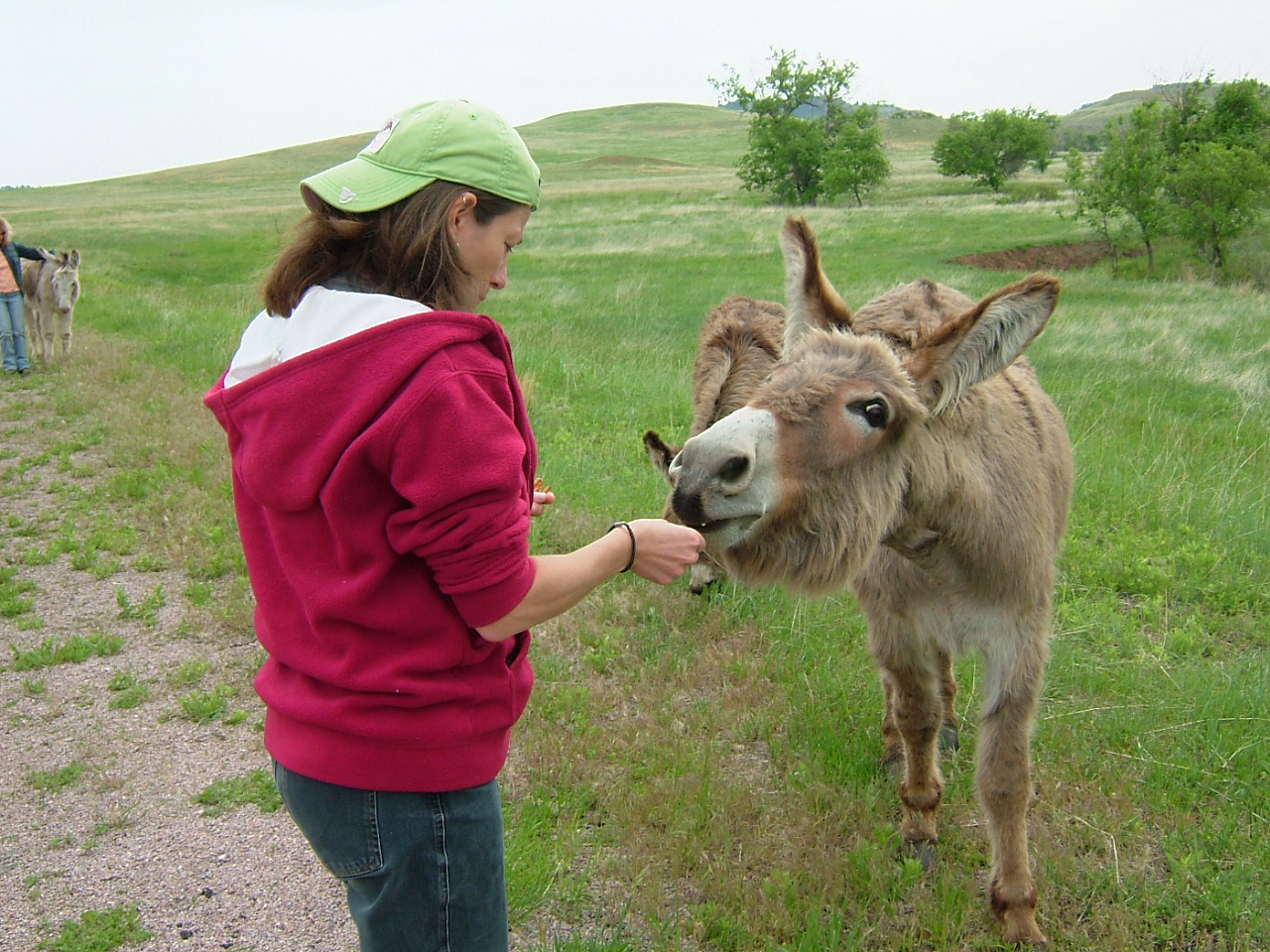 2003-02-25 20-49-041013.JPG