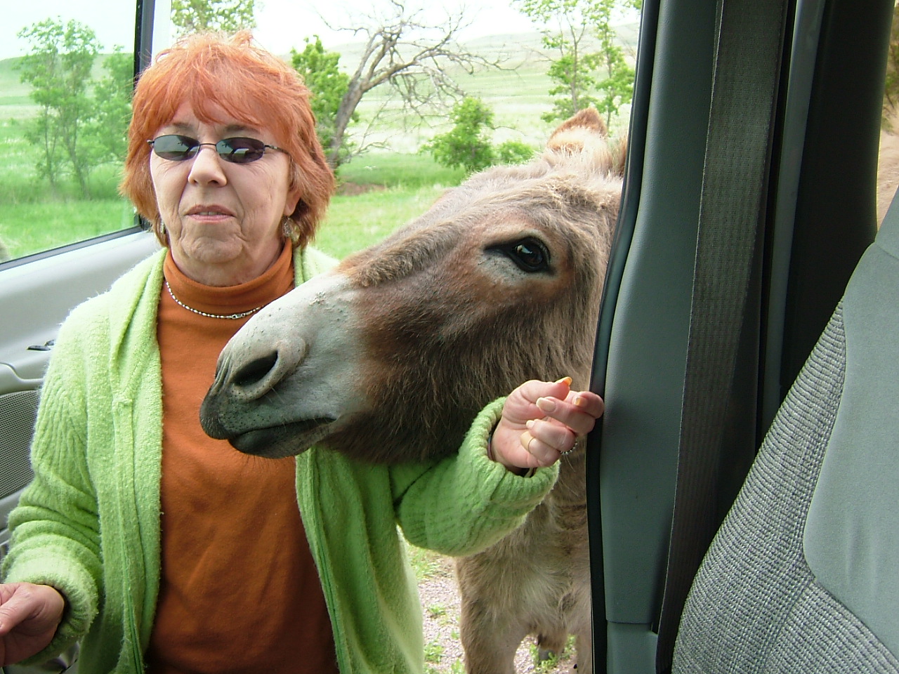 2003-02-25 21-11-501012.JPG