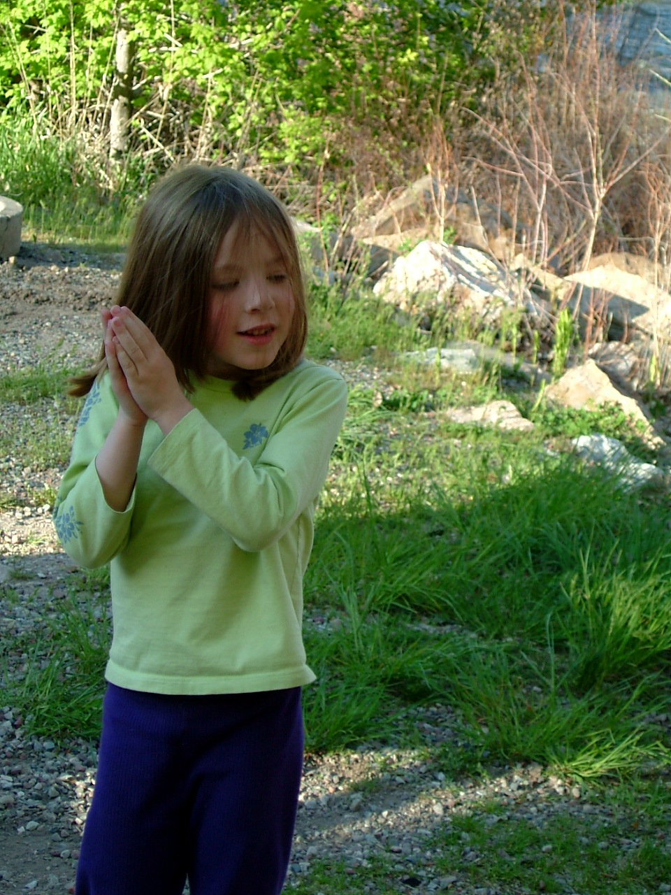 2003-05-02 20-34-56961.JPG