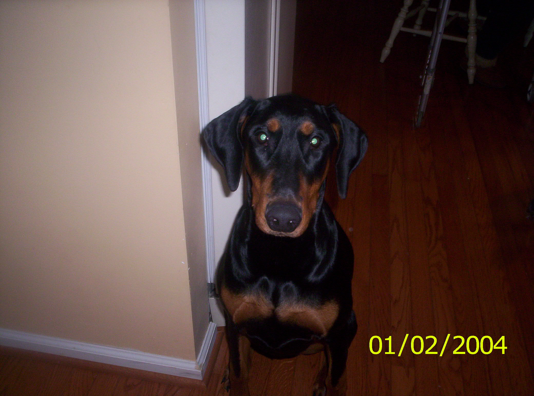 2004-01-02 10-16-36856.JPG