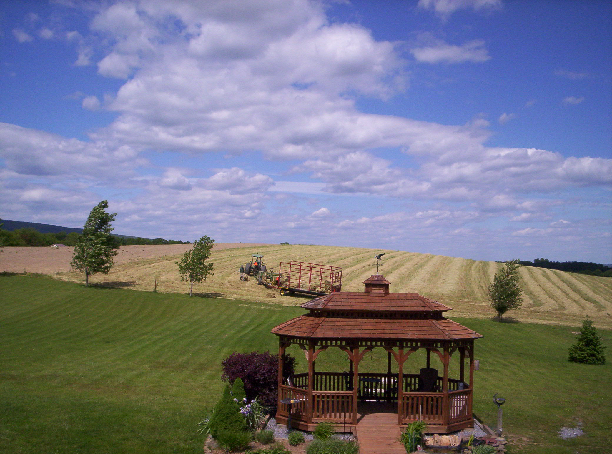 2006-05-23 14-19-46477.JPG