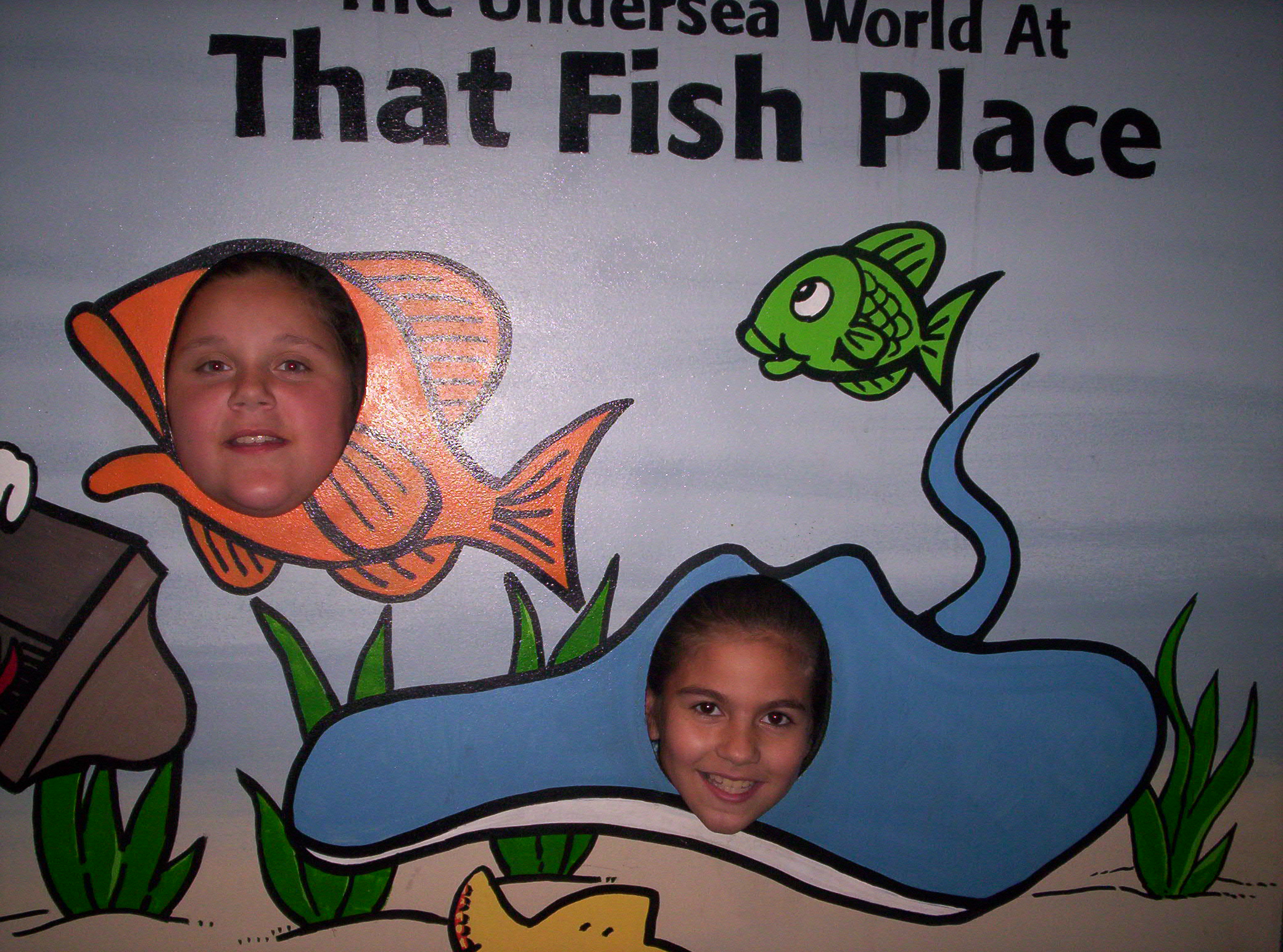 2006-05-27 11-20-59457.JPG