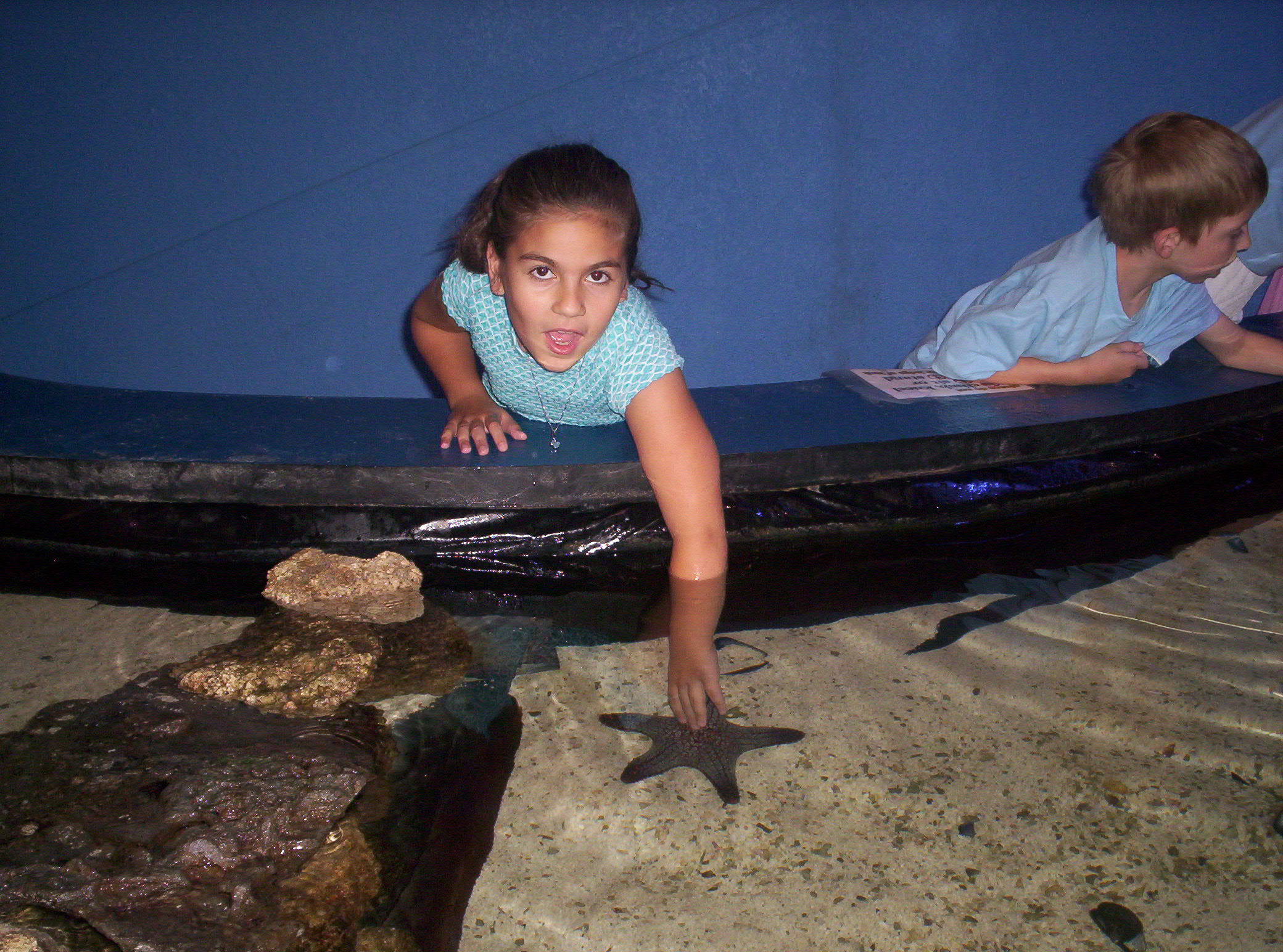 2006-05-27 11-30-07453.JPG