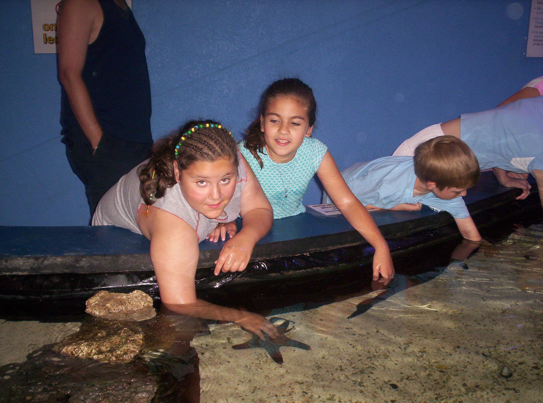 2006-05-27 11-31-17452.JPG