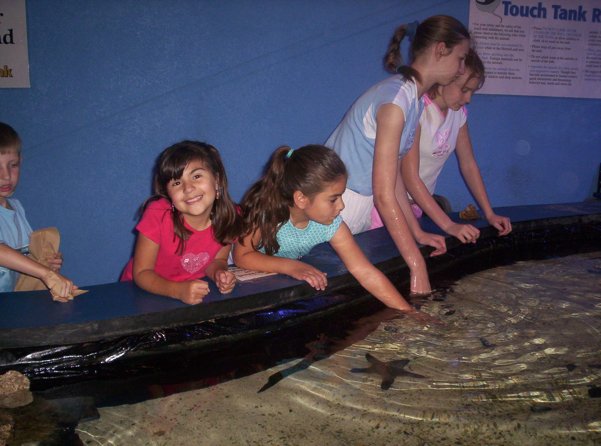 2006-05-27 11-34-08451.JPG