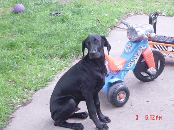 2006-06-03 18-12-24434.jpg