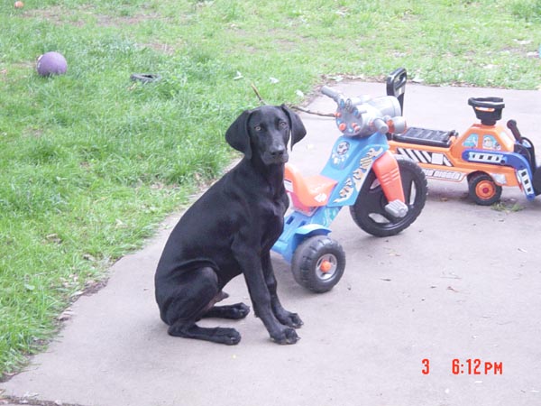 2006-06-03 18-12-34433.jpg