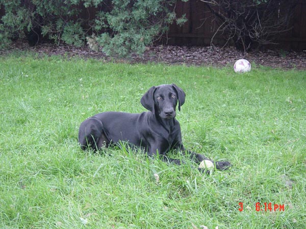 2006-06-03 18-14-57430.jpg