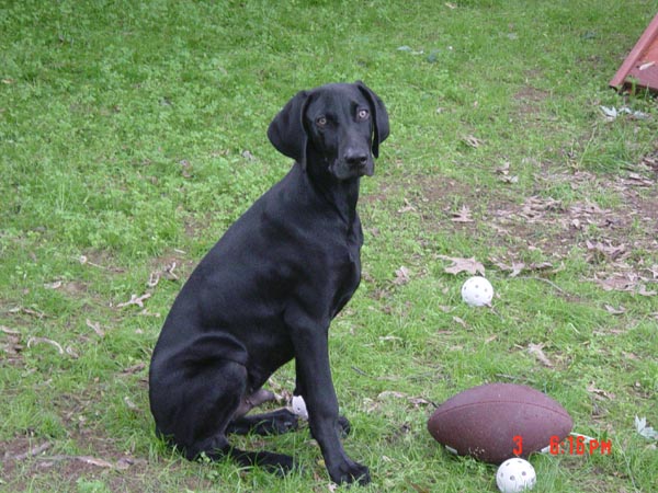 2006-06-03 18-16-25429.jpg