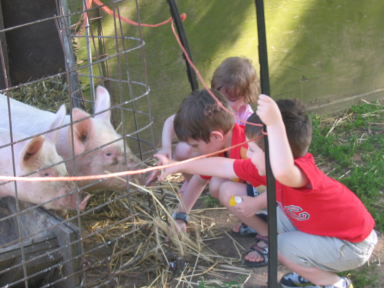 2006-06-17 04-01-50424.jpg