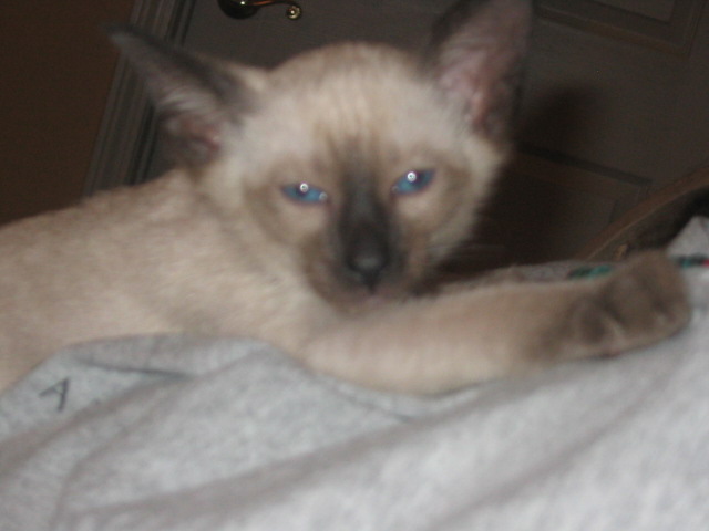 2006-07-11 08-28-18399.jpg