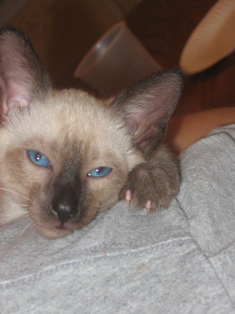 2006-07-13 02-44-37387.jpg