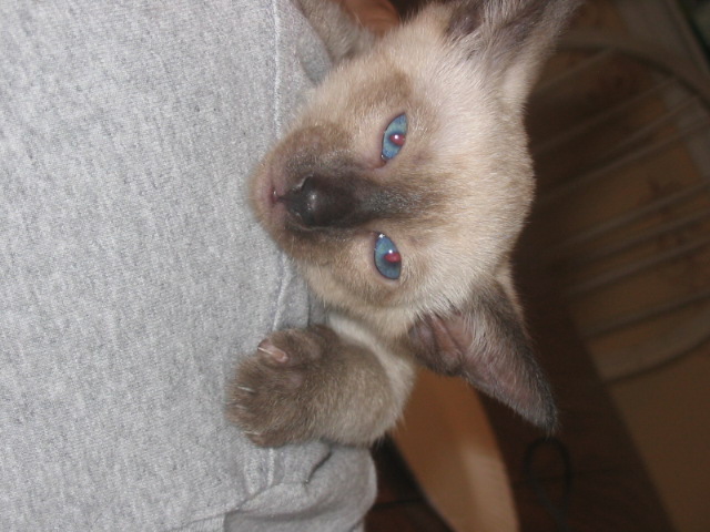 2006-07-13 02-45-14386.jpg