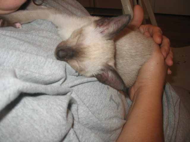 2006-07-13 03-24-29385.jpg