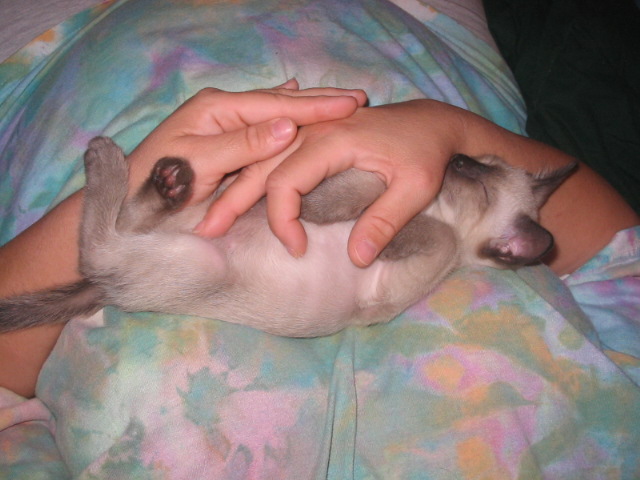 2006-07-13 11-39-58384.jpg