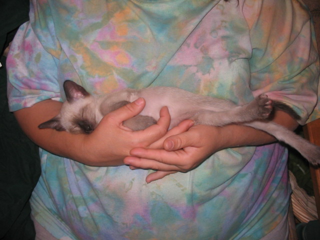 2006-07-13 11-40-30383.jpg