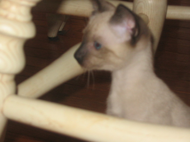 2006-07-15 05-24-53379.jpg