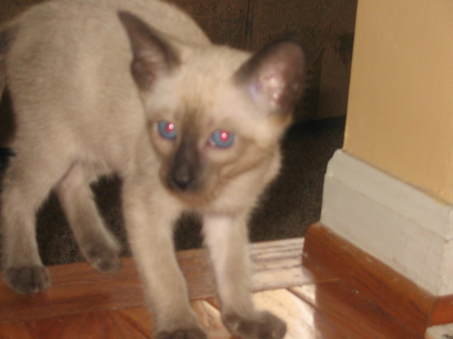 2006-07-15 05-25-16378.jpg