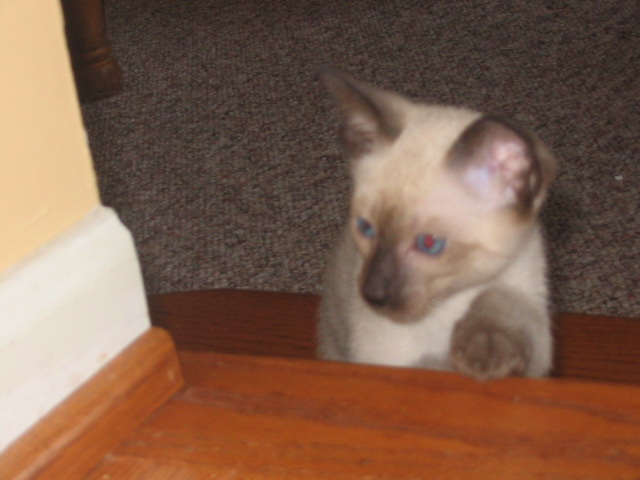 2006-07-15 05-25-26377.jpg