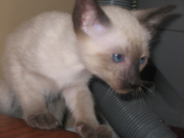 2006-07-15 05-27-06376.jpg