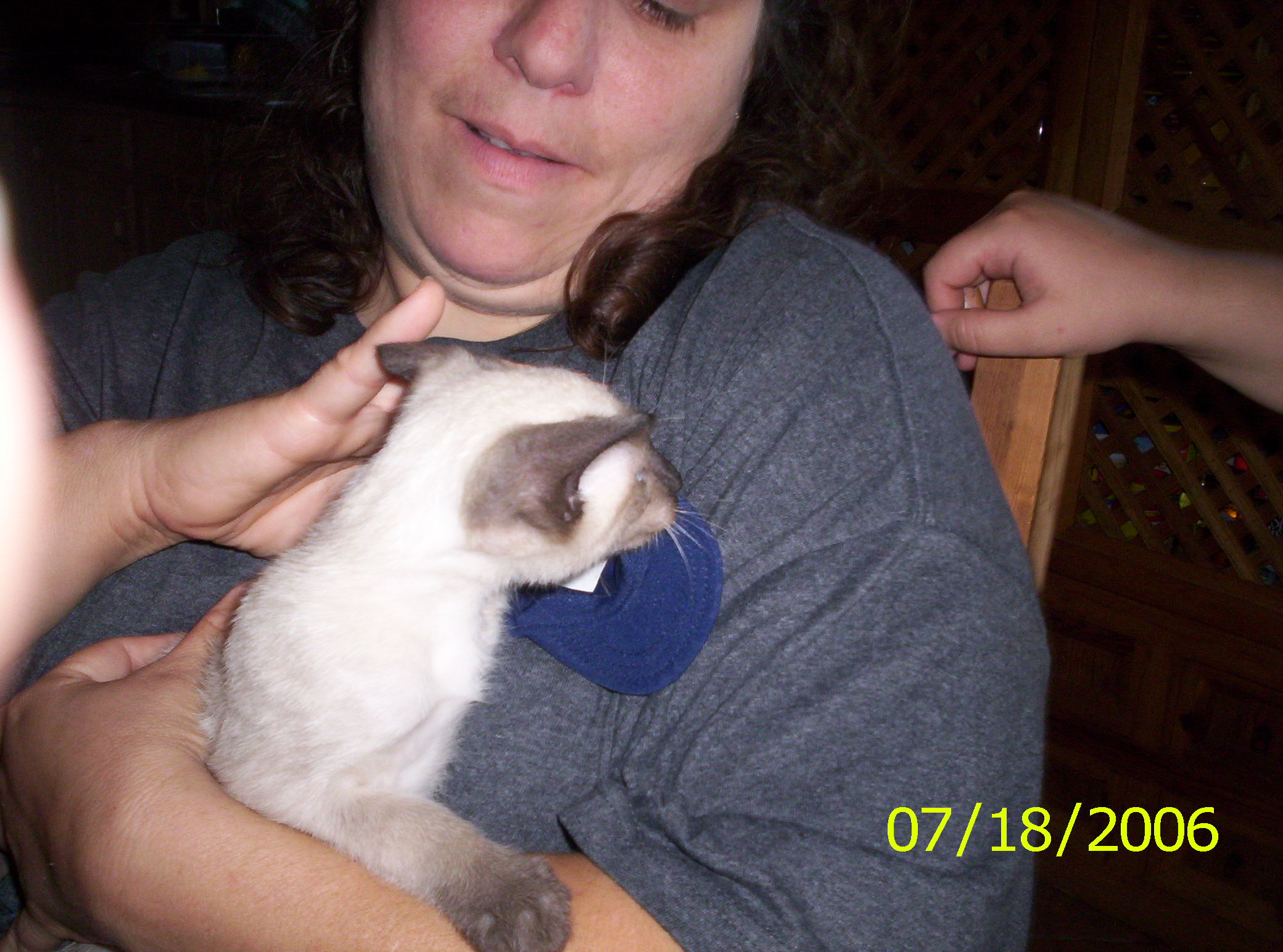 2006-07-18 16-30-05371.JPG