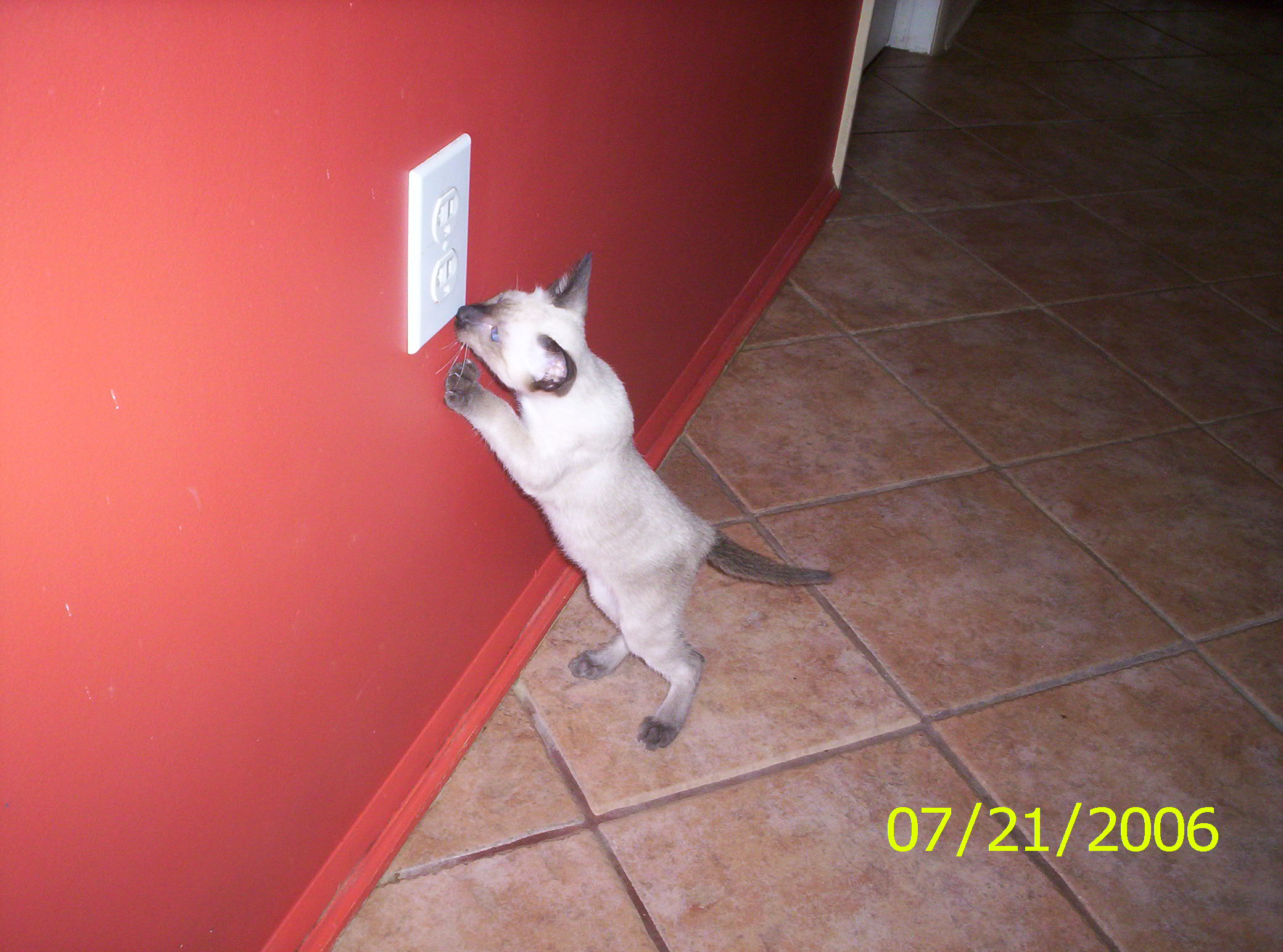 2006-07-21 13-00-03369.JPG