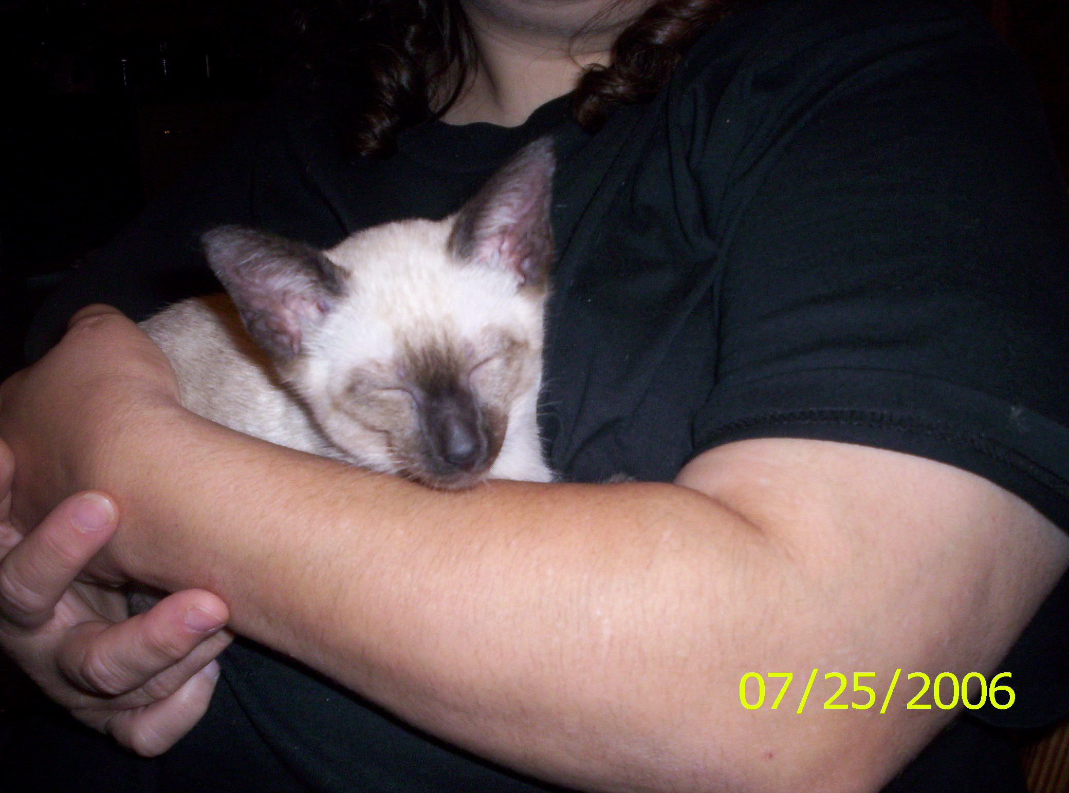 2006-07-25 20-31-32363.JPG