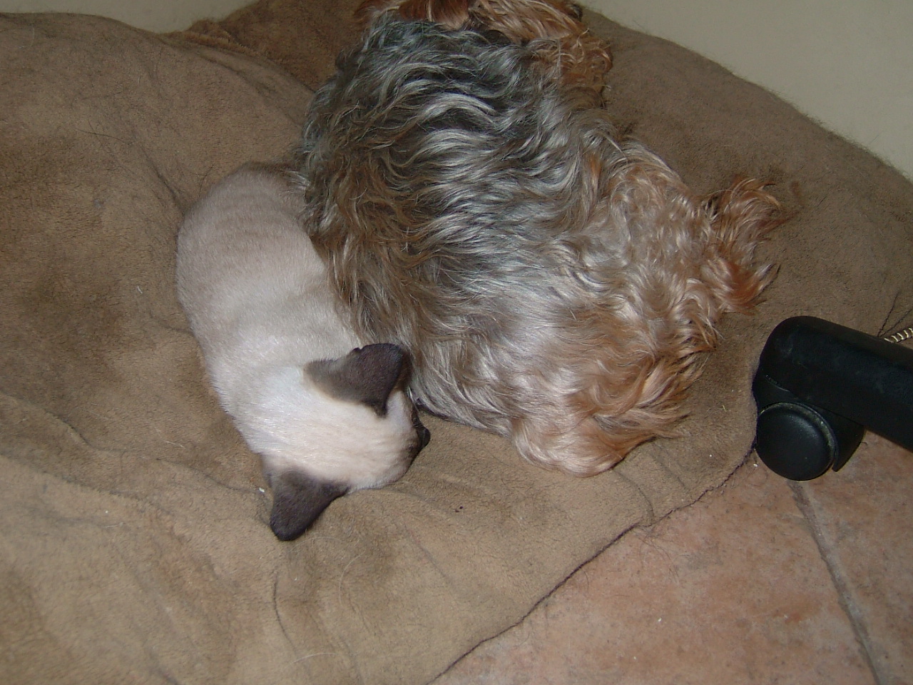 2006-08-06 08-09-42355.jpg