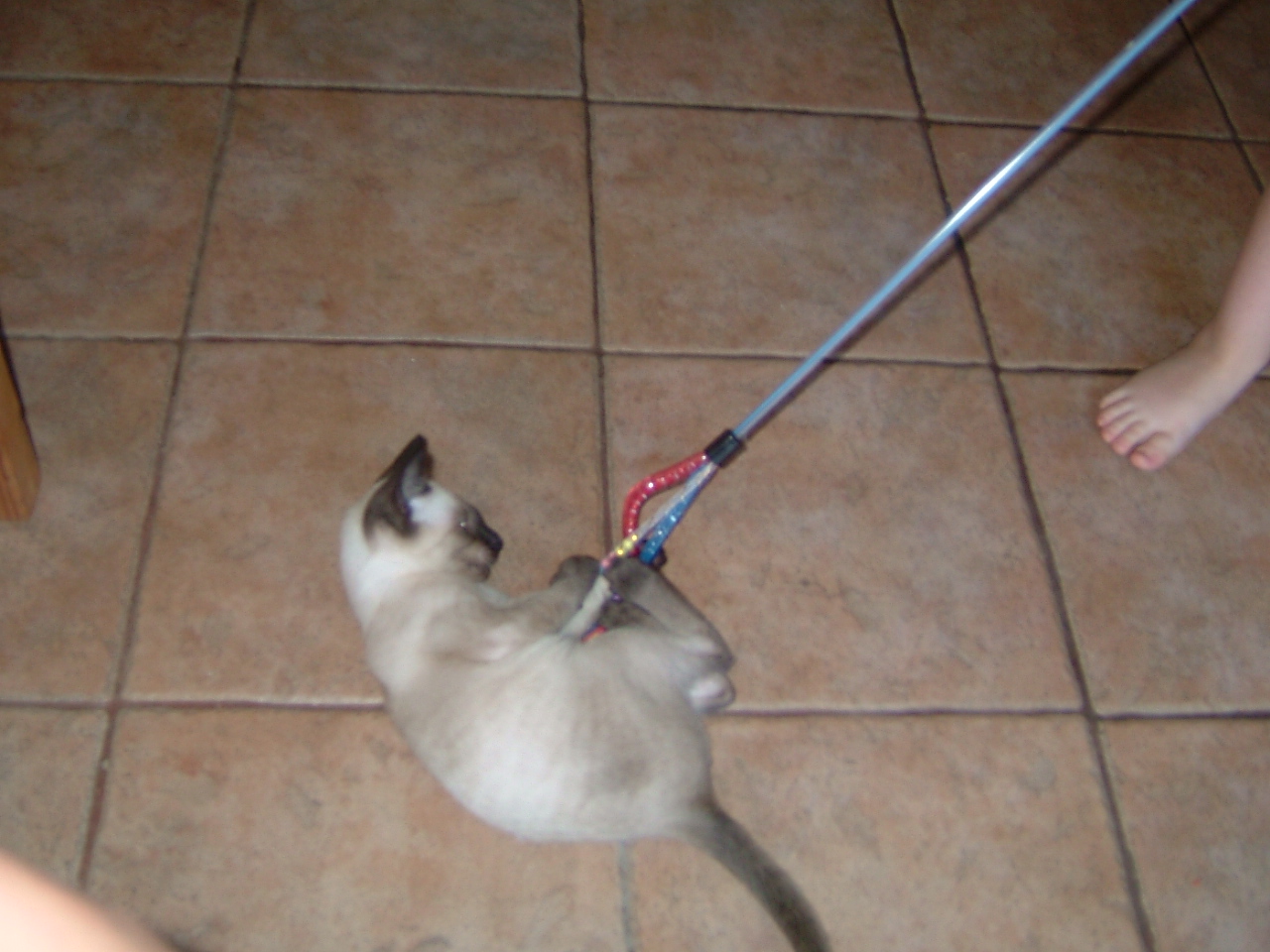 2006-08-07 00-26-34352.jpg