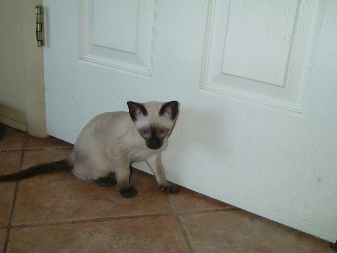 2006-08-07 00-36-44348.jpg