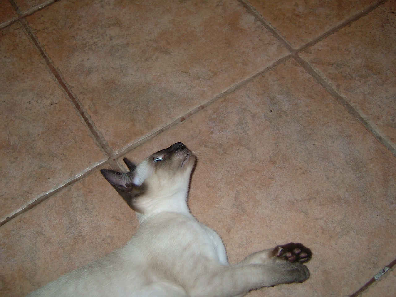 2006-08-07 00-37-46347.jpg