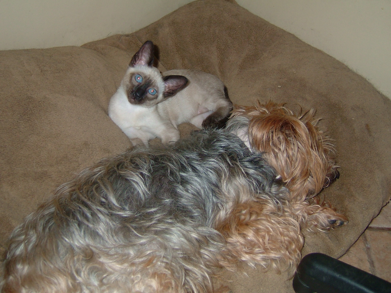 2006-08-07 00-52-47346.jpg