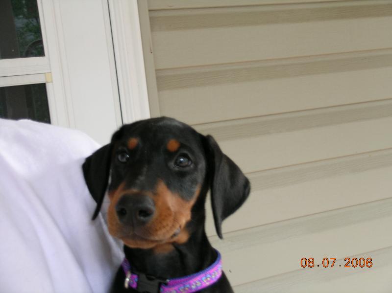 2006-08-07 15-36-25344.jpg