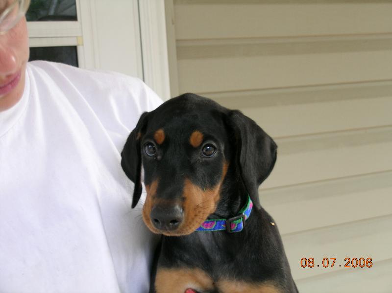 2006-08-07 15-36-36343.jpg