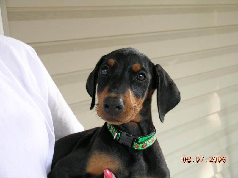 2006-08-07 15-36-50342.jpg