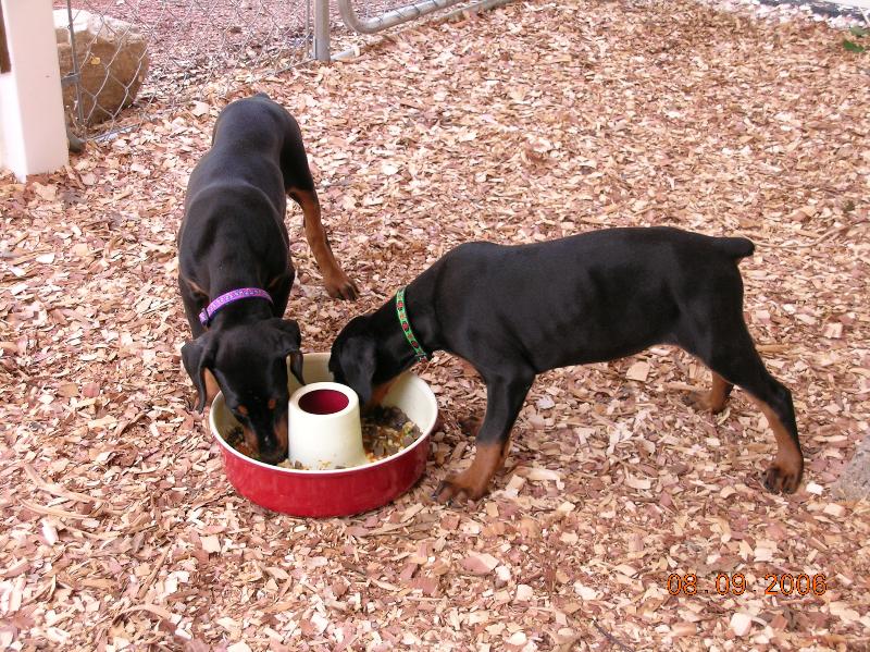 2006-08-09 11-40-40340.jpg