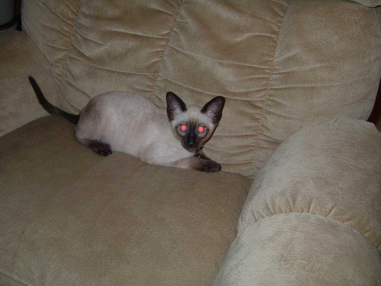 2006-08-09 12-37-24339.jpg