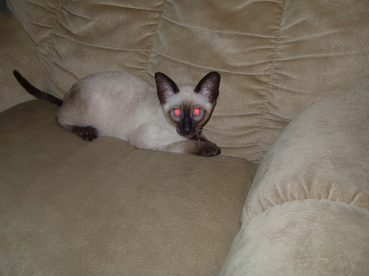 2006-08-09 12-37-32338.jpg