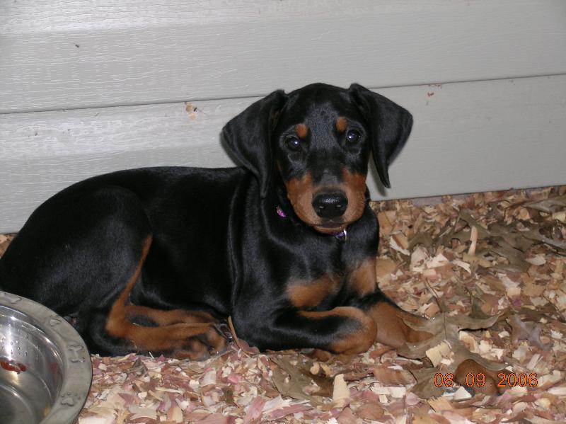 2006-08-09 16-40-14337.jpg