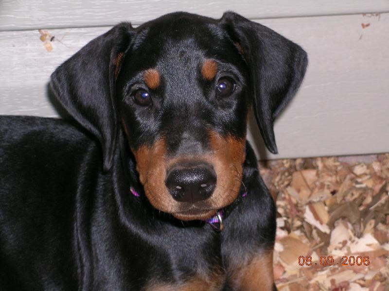 2006-08-09 16-40-25336.jpg