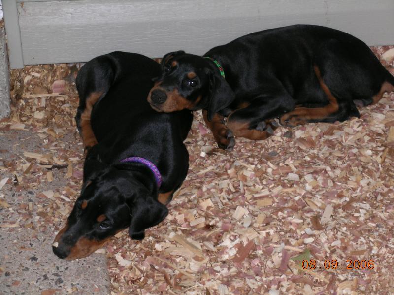 2006-08-09 16-42-20335.jpg