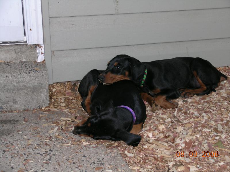 2006-08-09 16-45-19334.jpg